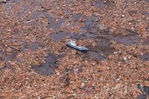 日本海嘯影響全世界 殘留巨型垃圾堆人體斷肢漂向美