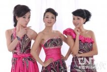 湖南衛(wèi)視主持人張丹丹