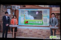 日本媒體評論小悅悅事件《中國人無視被碾女孩》