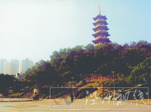 曾入選亞太地區民歌集——憶溫州民歌《叮叮當》