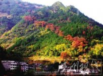 溫州文成紅楓古道 溫州