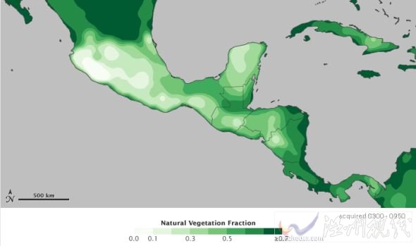 瑪雅文明覆滅或因氣候干燥 