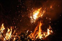 湖南漣源森林大火 起火原因村民燒紙錢引起清明節注