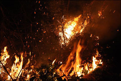 湖南漣源發(fā)生森林大火 過火面積近200畝(圖)