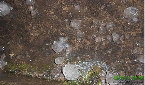 北方降雪聚集東北 江南華南對流天氣旺盛