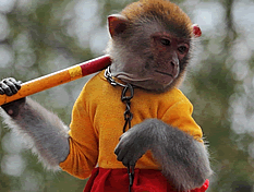 花果山一日游隨拍 花果