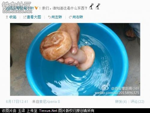 女記者誤將自慰器認作肉靈芝