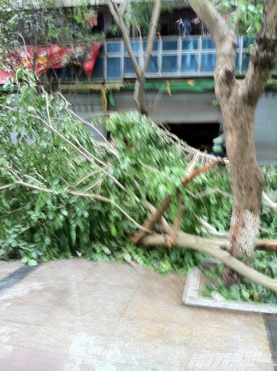 佳木斯臺(tái)風(fēng)