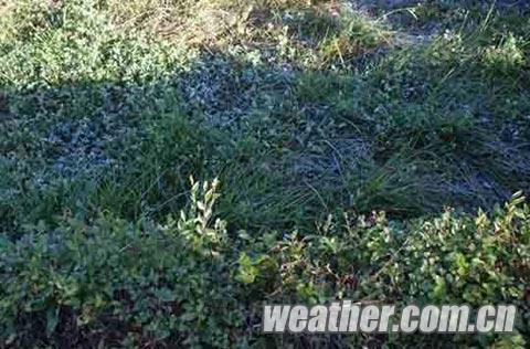 內蒙古雙節期間有冷空氣霜凍 早晚溫差大注意保暖