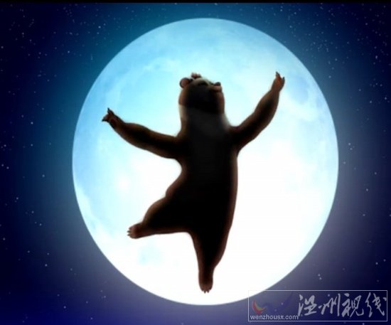 國(guó)產(chǎn)動(dòng)漫熊出沒(méi)73集 扭秧歌