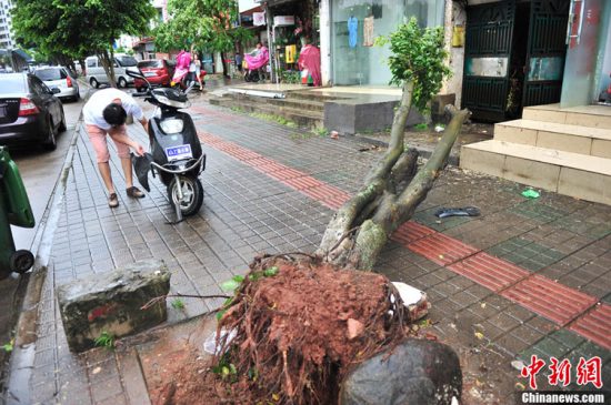 飛燕臺風(fēng)對海南影響