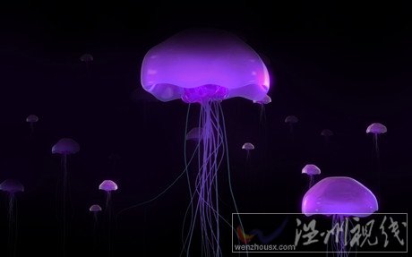 瑞典核電站因水母圍攻關(guān)閉