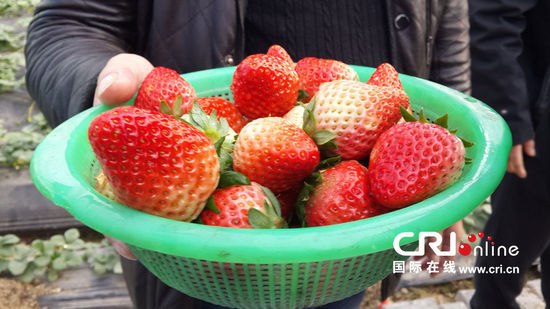 合肥迎來溫暖元旦 高溫將突破15℃