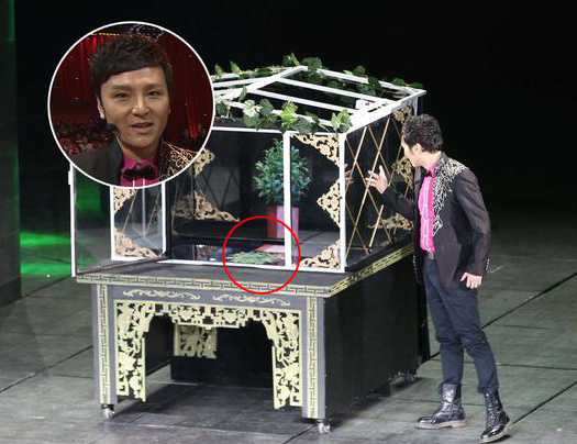 馬年元宵晚會傅琰東魔術穿幫抄襲沒新意