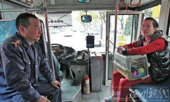 女乘客帶狗上車 溫州42路公交司機(jī)熄火不開