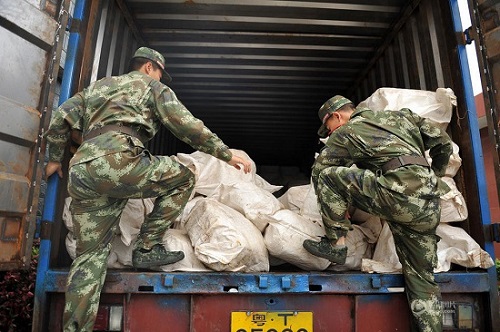 956只穿山甲凍體被查獲 穿山甲是國家二級保護動物