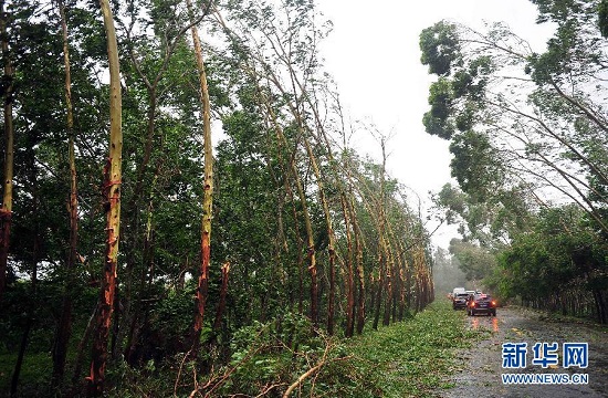 7月18日下午3點半威馬遜在海南省文昌市翁田鎮(zhèn)沿海登陸了