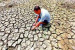 湖北干旱 2014年8月湖北多市出現(xiàn)嚴(yán)重干旱