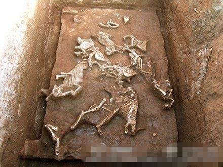 西安財院新校區挖出秦始皇祖母墓穴