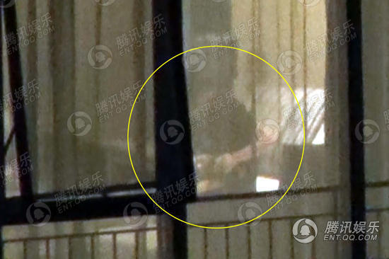 謝霆鋒王菲復合