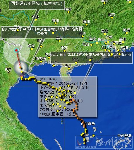 臺(tái)風(fēng)鯨魚(yú)路徑