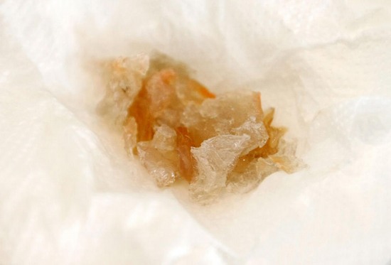 溫州市場現注膠蝦