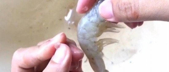 溫州市場現注膠蝦