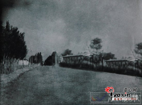 新疆自治區60周年慶