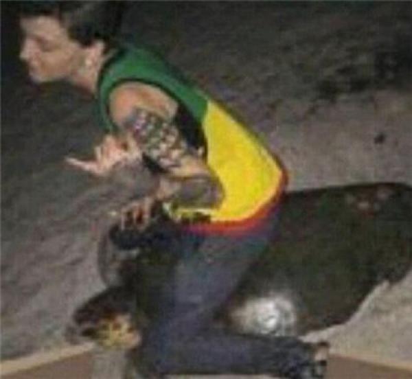 女子騎海龜被控5年監(jiān)禁