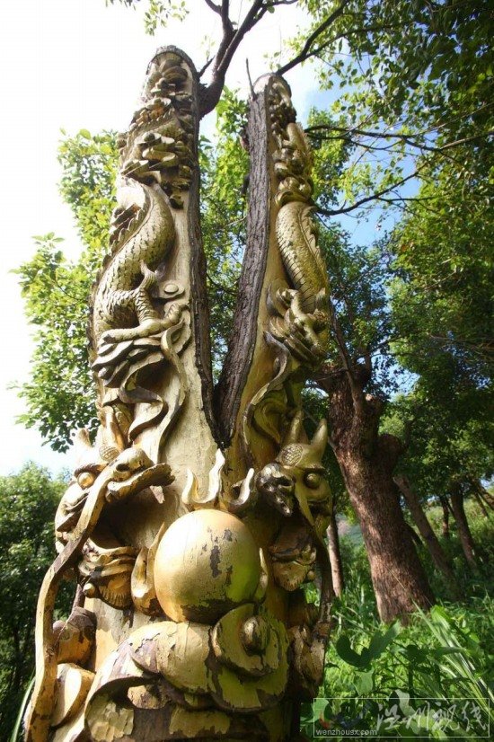 寧波現(xiàn)活體樹雕