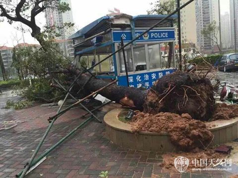 湛江臺風(fēng)彩虹造成1人死亡16人失蹤