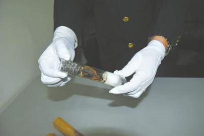 買螞蟻為看搬家