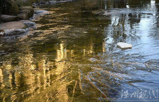 溫州潑水成冰