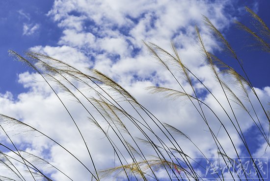 尼伯特臺風來之前溫州藍天白云非常漂亮