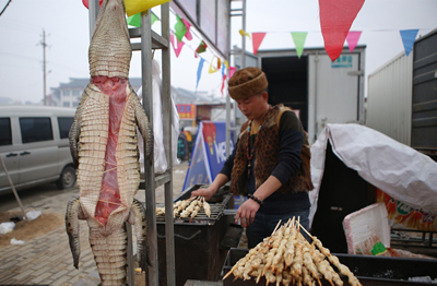 廟會(huì)燒烤攤賣鱷魚肉