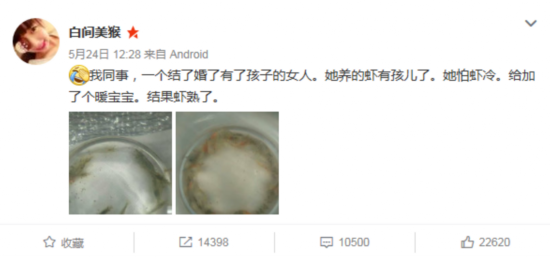 怕蝦冷墊上暖寶寶