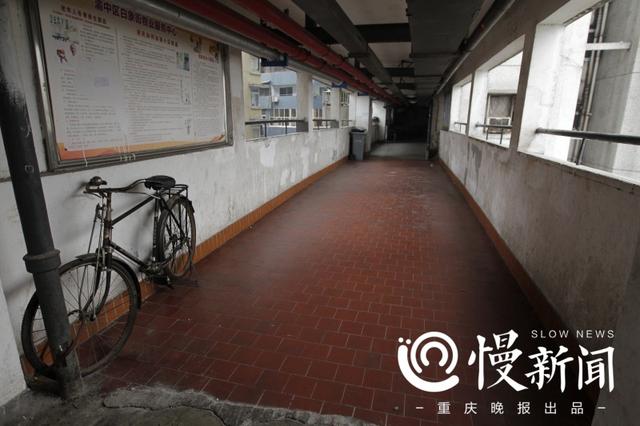 24層高樓沒電梯成網紅