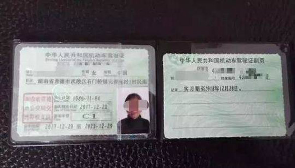 女子花64萬辦駕照