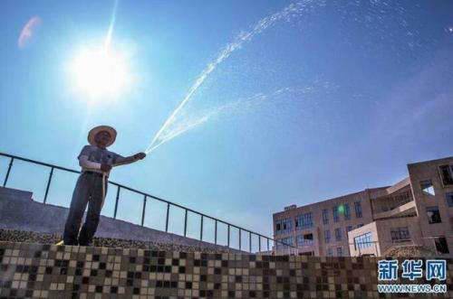 40天加長版三伏天