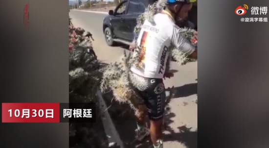 男子騎車失控摔入仙人掌叢