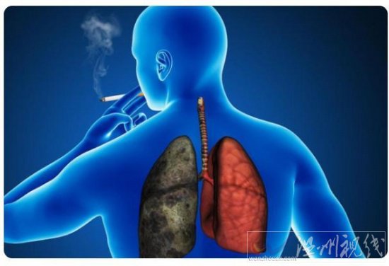 細(xì)支的香煙危害更大