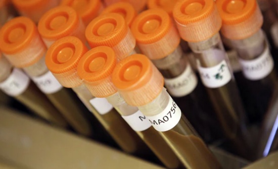 濫用抗生素導致細菌產生耐藥性