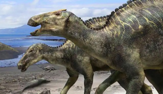 保存完好孵化期恐龍蛋化石