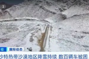 為看雪景 沙特數百輛車堵在路上
