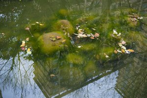 溫州永嘉甌北鉑晶嘉