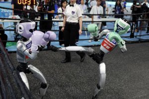 北京世界人形機(jī)器人