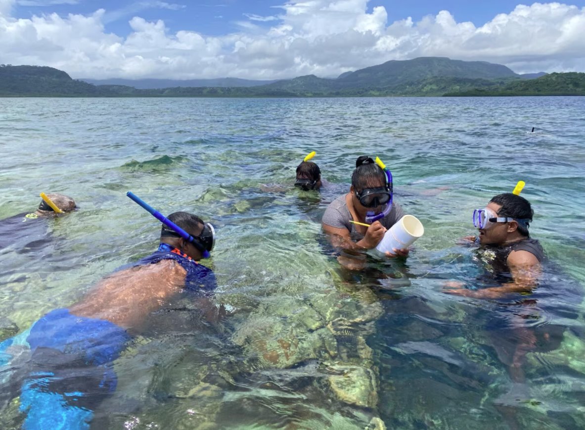 監測密克羅尼西亞聯邦自然生態系統的恢復情況